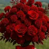 darya_gian20
