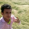 user9254245715221