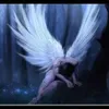angelmans19