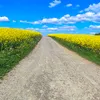 thuemer_juergenweb.de