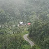 thejak028
