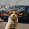 gab_baransu