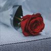 jmal.r511