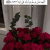 user8545940708033