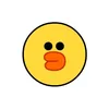 sally.ducky