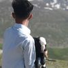 hamidjan136