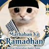 zikrimuhammad032