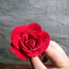 bkrrai918