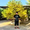 tuanthanh0701