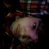 dbjhay