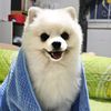 jim_jutatip65