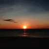 tamtrangmusic7777