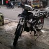 kurcek5