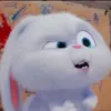 xandriiaaa