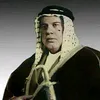 m_lal9