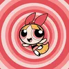 rovie.finds