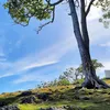 ikutiirama
