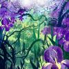 saphira_fan