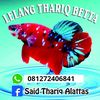 sayid_thariq