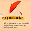 kurdemirli033._