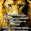 rafotiktok.comesoes