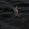 jerzey__nbg12