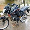 mas_bregy