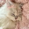 sleepyclaudia