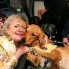 everythingbettywhite