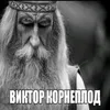 vk1ng007