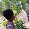 melvss_2013