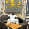 Sirafadiaby Conglo déco