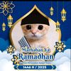 bskshafiq013
