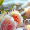 ahlam_1353