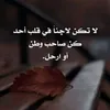 user5039881251185