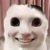 l7_767