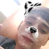 freazeynicolas24