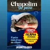 chapolim629