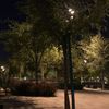 azra_39