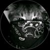 b_.damian
