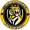 d.wijaya13