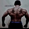 arianusaar