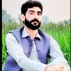 shahbazhadar230