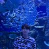 shfaa_nz