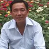 quang.vinh536