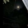 __moon__768