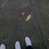 __nokiaa