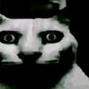 whatsareulookingatboi