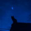 plushka_dkd