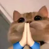 rhammmm5